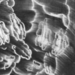 Carolina Muñoz, He Venido A Traer Fuego Sobre La Tierra, 2016