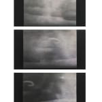 Marcela Serra, Persecución, 2010