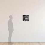 Carolina Muñoz, He Venido A Traer Fuego Sobre La Tierra, 2016