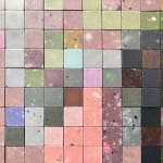 Marcela Serra, Persecución, 2010