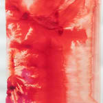 Hoda Tawakol, Hair N°4, 2011