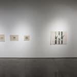 Jumairy, Uncertain Past, Uncertain Future, 2013