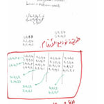 Hassan Sharif, Six Points Angular Lines - Part 4, 2013