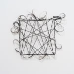 Hoda Tawakol, Hair N°4, 2011