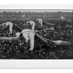 Danny Lyon, The Cotton Pickers, Ferguson Unit, Texas, 1968