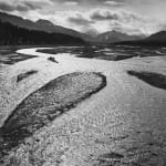 Ansel Adams, Forest Castle Rock State Park, CA, 1962