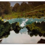 Angela West, It might last the summer and be gone by fall, 2024