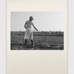 Eudora Welty, Chopping in the Fields, 1935