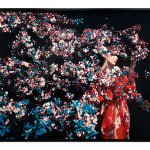 Erik Madigan Heck, Umbrella, The Garden, 2020