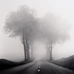 Sally Mann, Untitled, Deep South #20, 1998