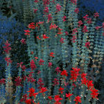 Erik Madigan Heck, Umbrella, The Garden, 2020