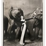 Richard Avedon, Dovima with elephants, Evening dress by Dior, Cirque d'Hiver, Paris, August , 1955