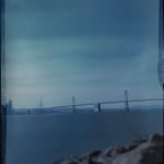 John Chiara, Avenue of the Palms facing the Bay Bridge, Treasure Island, 2024