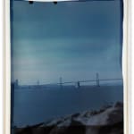 John Chiara, Avenue of the Palms facing the Bay Bridge, Treasure Island, 2024