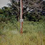 William Christenberry, "Jesus Saves" Sign, between Greensboro and Marion, Alabama, 1983