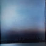 John Chiara, Avenue of the Palms facing the San Francisco Marine Layer, Treasure Island, 2024