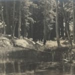 Ansel Adams, Parmelian Prints of the High Sierra Portfolio, 1927