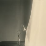 Yamamoto Masao, Tomosu #6003, 2023