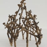 Robyn Neild, Wigwam Series