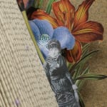 Monica Fierro, Unfolding Stories