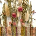 Alison Gautrey, Collaboration Series