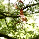 Juliet and Jamie Gutch, Untethered