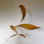 Juliet and Jamie Gutch, Untethered