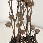 Robyn Neild, Wigwam Series