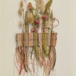 Alison Gautrey, Collaboration Series