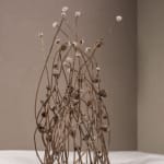 Robyn Neild, Wigwam Series