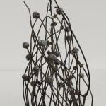 Robyn Neild, Wigwam Series