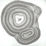 Patricia Swannell, Tree Ring Series