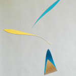 Juliet and Jamie Gutch, Untethered