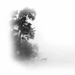Brenda Hoffman, La Promenade de Rilke 12