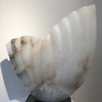 Jude Tucker, Wavespell