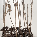Robyn Neild, Wigwam Series