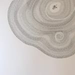 Patricia Swannell, Tree Ring Series