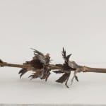 Robyn Neild, Wigwam Series