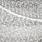 Patricia Swannell, Tree Ring Series