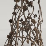 Robyn Neild, Wigwam Series