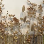 Alison Gautrey, Collaboration Series