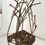 Robyn Neild, Wigwam Series