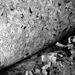 Jorge Sarsale, Untitled