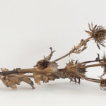 Robyn Neild, Wigwam Series