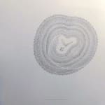Patricia Swannell, Tree Ring Series