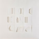 Jenny McNulty, Still Life Series