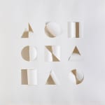 Jenny McNulty, Still Life Series