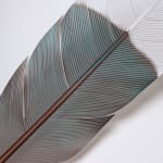 Neil Dawson, Vanity Suite. 11., 2022