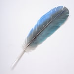 Neil Dawson, Vanity Suite. 11., 2022