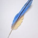 Neil Dawson, Vanity Suite. 11., 2022